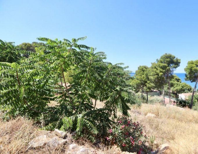 Parcela en venta en Denia con vistas al mar