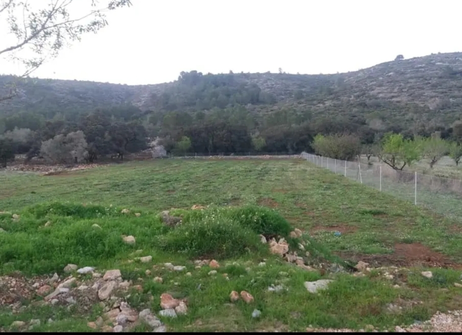 Parcela urbanizable en venta en La Llosa de Camacho con caseta