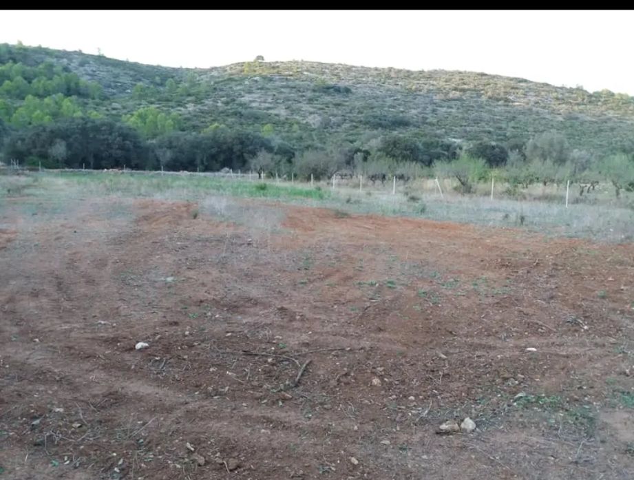 Parcela urbanizable en venta en La Llosa de Camacho con caseta