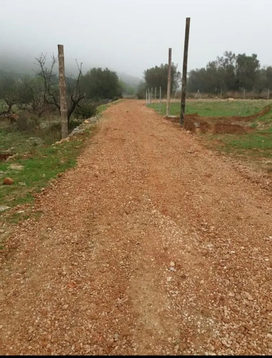 Parcela urbanizable en venta en La Llosa de Camacho con caseta