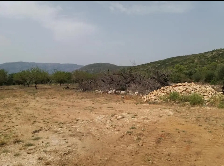 Parcela urbanizable en venta en La Llosa de Camacho con caseta