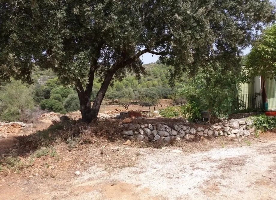 Parcela urbanizable en venta en La Llosa de Camacho con caseta