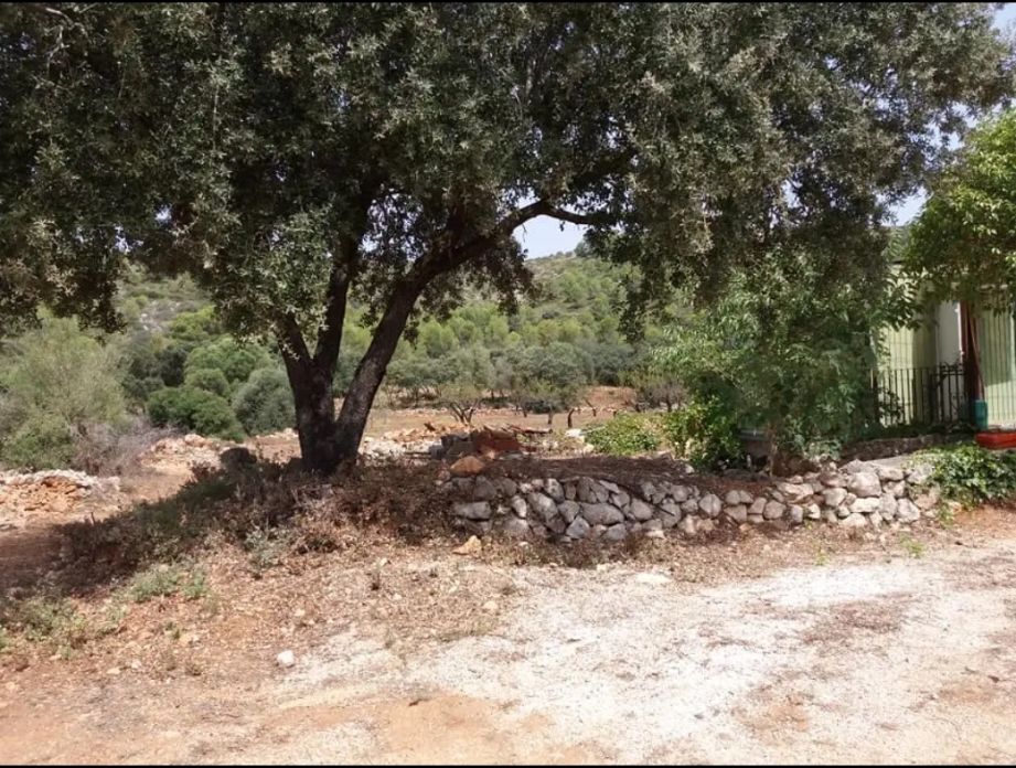 Parcela urbanizable en venta en La Llosa de Camacho con caseta