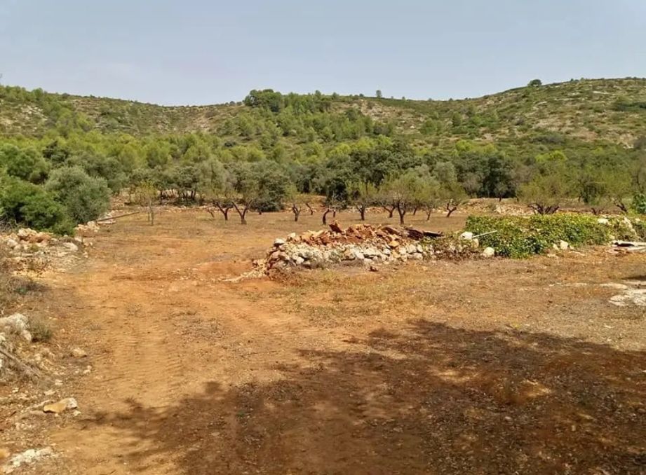 Parcela urbanizable en venta en La Llosa de Camacho con caseta