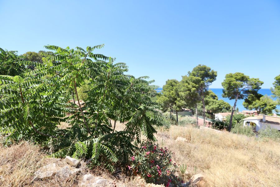 Plot for sale in Denia with sea views